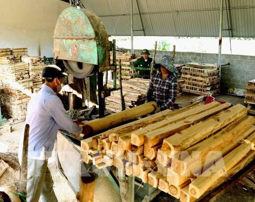 Forestry product exports jump nearly 20 percent in year’s first half ảnh 1