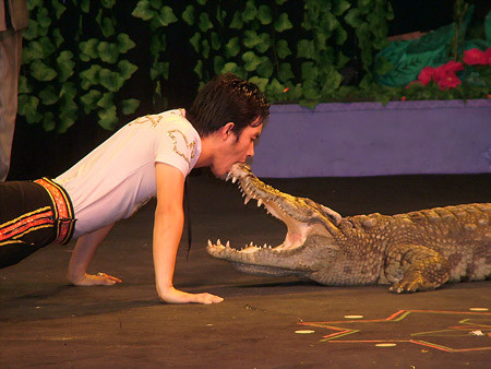 International circus to open in HCM City ảnh 1