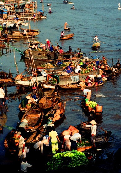 New life for Mekong floating market ảnh 1
