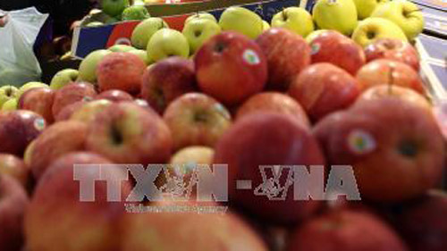Fruit, vegetable imports hit 655 million USD in first half ảnh 1 Fruit, vegetable imports hit 655 million USD in first half ảnh 1