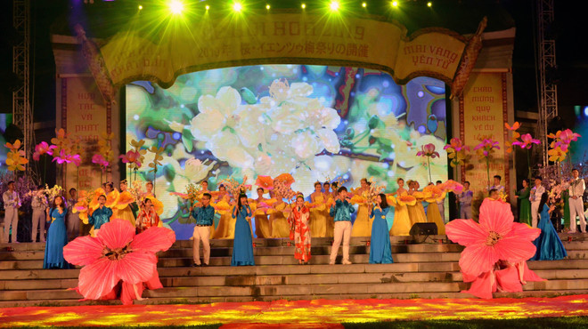 Cherry blossom festival opens in Quang Ninh ảnh 1