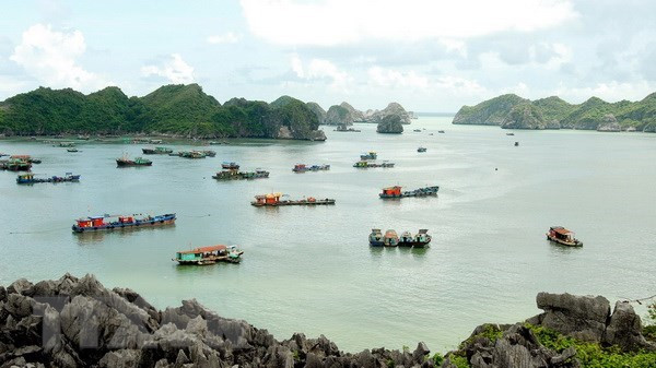 Hai Phong city taps sea, island tourism development ảnh 1