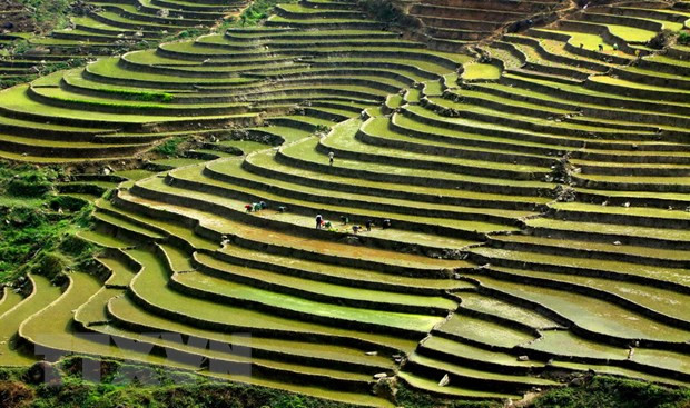 Eight northwestern provinces enhance tourism connectivity ảnh 1