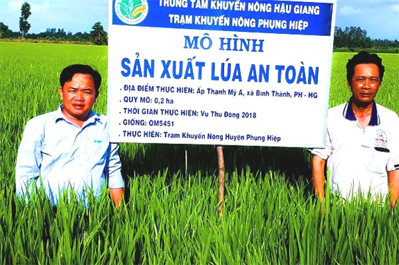  Hau Giang to pilot smart rice cultivation ảnh 1