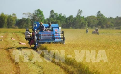 Hau Giang calls for investment to six major projects ảnh 1 Hau Giang calls for investment to six major projects ảnh 1