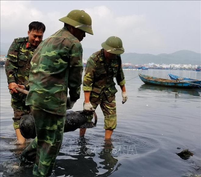 UXOs handled in central provinces ảnh 1 UXOs handled in central provinces ảnh 1
