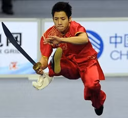 Vietnam win another bronze medal at wushu championships ảnh 1