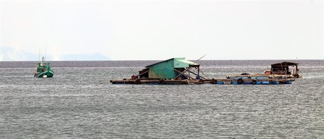 Kien Giang expands marine aquaculture on industrial scale ảnh 1 Kien Giang expands marine aquaculture on industrial scale ảnh 1
