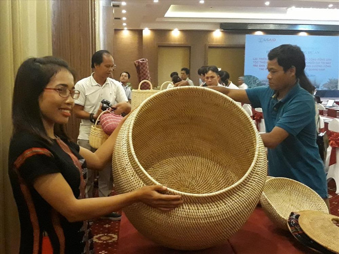 US-funded project helps develop rattan, herbal plants in Quang Nam ảnh 1