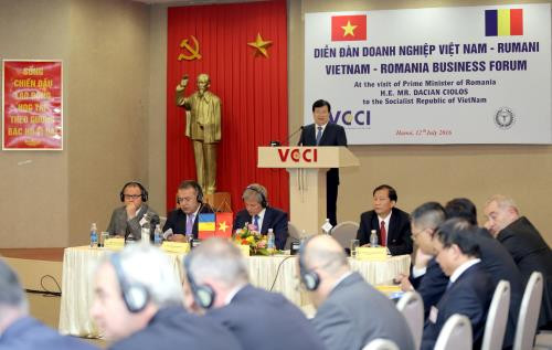 Vietnam, Romania strengthen economic ties ảnh 1