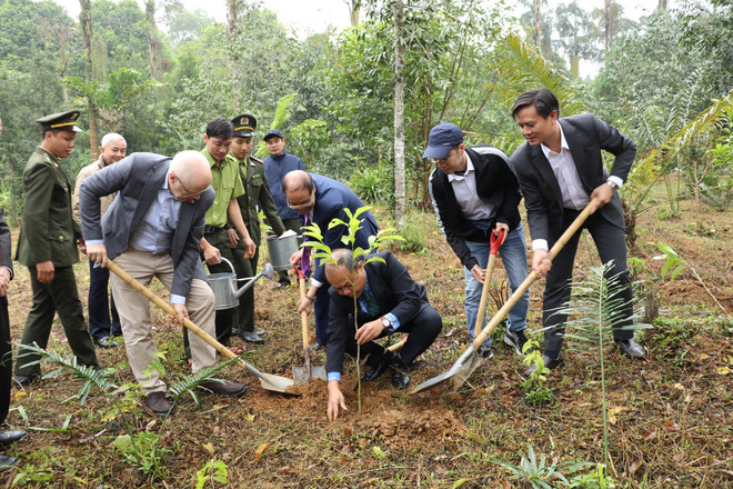Tree planting marks 50th anniversary of Vietnam – Finland ties ảnh 1 Tree planting marks 50th anniversary of Vietnam – Finland ties ảnh 1