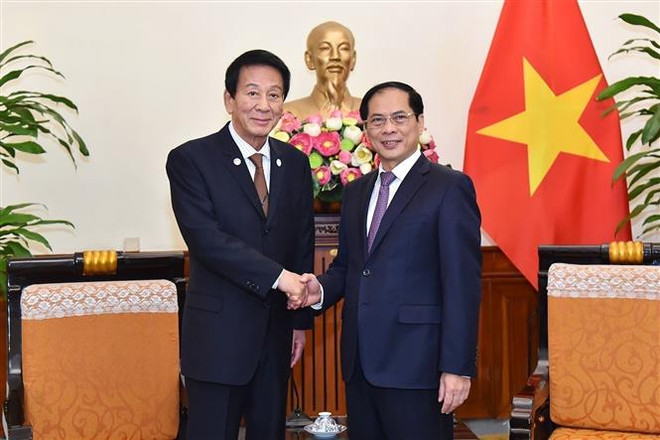 Foreign Minister receives former Special Ambassador for Vietnam-Japan ảnh 1