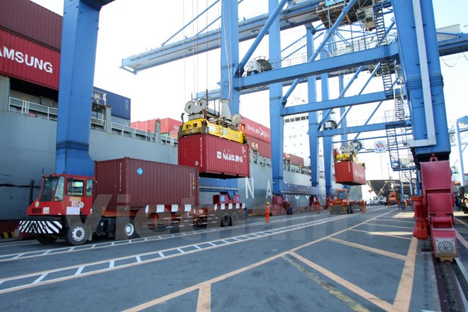 Port operator in HCM City eyes more cargo in 2016 ảnh 1