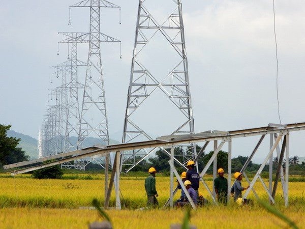 EVN SPC ensures power supply for islanders ảnh 1