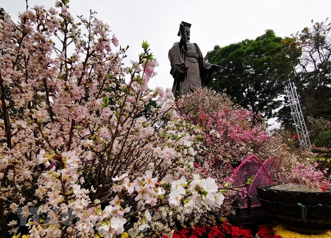 Japanese cherry blossom festival opens in Hanoi ảnh 1
