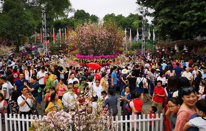 Japanese cherry blossom festival extended for one day ảnh 1