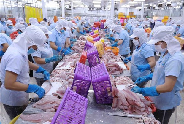 EVFTA positively affecting Vietnam's trade with EU, Germany: Expert ảnh 1