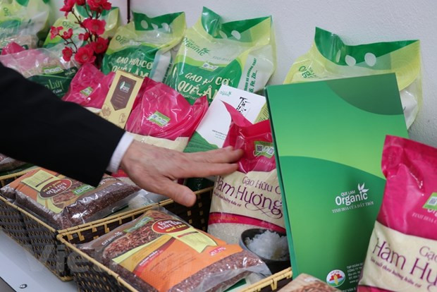 Hanoi's August CPI rose 1.08% from last month ảnh 1