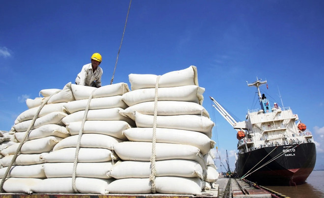 Prices of Vietnam’s exported rice highest in the world ảnh 1 Prices of Vietnam’s exported rice highest in the world ảnh 1