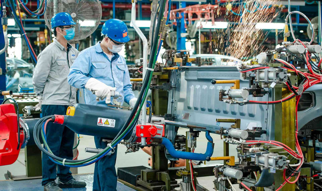 Vietnam, Belgium enjoy growing 50-year ties ảnh 3