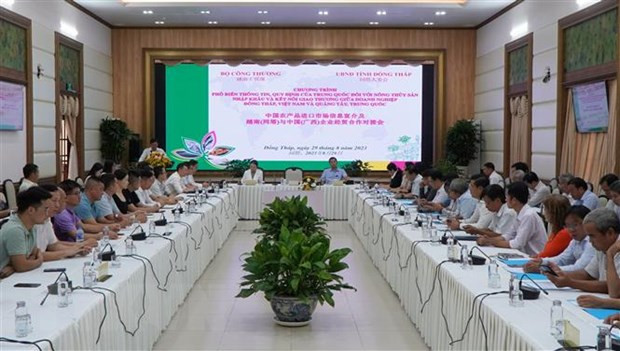 Dong Thap, China's Guangxi eye stronger trade ties ảnh 1