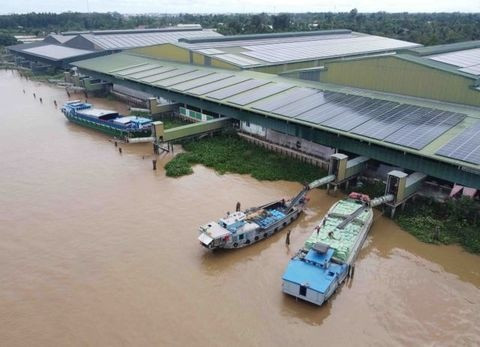 Three growth scenarios set for southeastern region ảnh 1 Three growth scenarios set for southeastern region ảnh 1