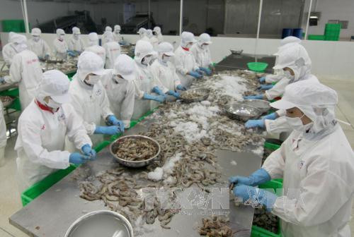 Plunge in Vietnam’s exports has bottomed out: VinaCapital ảnh 1