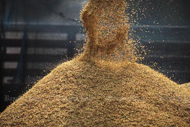Thai rice producers agree to cut output ảnh 1 Thai rice producers agree to cut output ảnh 1