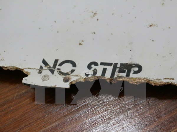 South Africa, Mozambique to join search of missing MH370 ảnh 1 South Africa, Mozambique to join search of missing MH370 ảnh 1