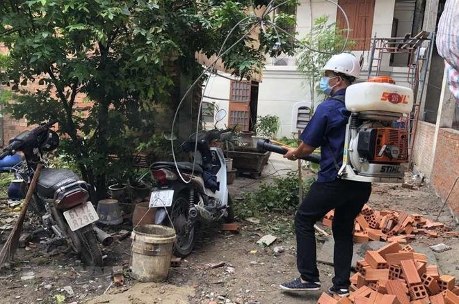 HCM City records nine deaths from dengue fever ảnh 1 HCM City records nine deaths from dengue fever ảnh 1