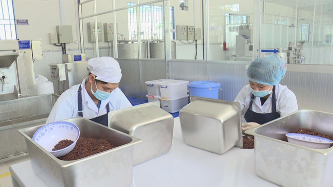 Tra Vinh lures 50 projects in nine months ảnh 1