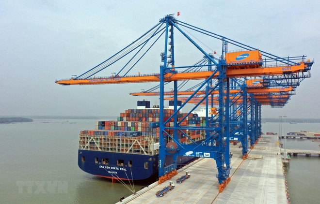 Container cargo growth in double digits this year ảnh 1