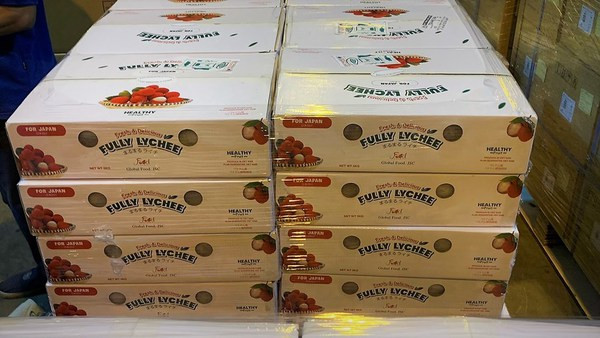 Nearly 10 tonnes of lychee flown to Japan ảnh 2