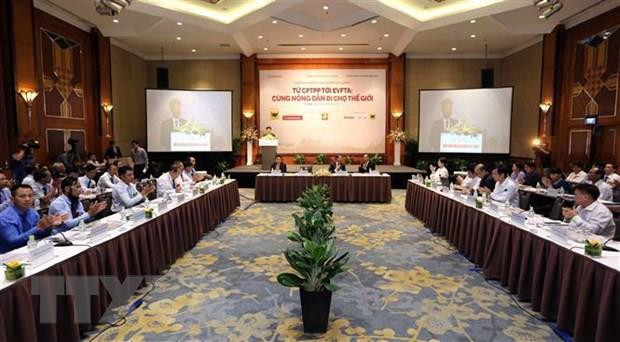 FTAs open new chances for Vietnamese farm produce to access big markets ảnh 1