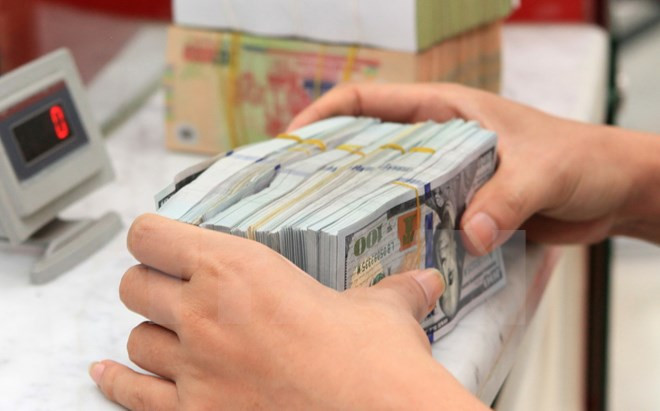 Firms adapt to anti-dollar drive ảnh 1 Firms adapt to anti-dollar drive ảnh 1