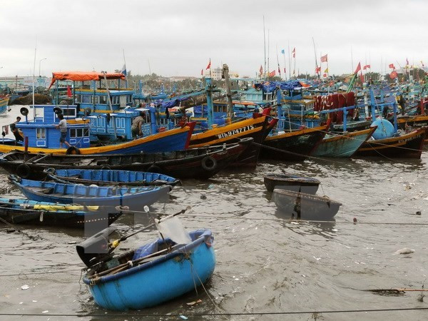 South-central coastal localities implement Law on Fisheries ảnh 1 South-central coastal localities implement Law on Fisheries ảnh 1