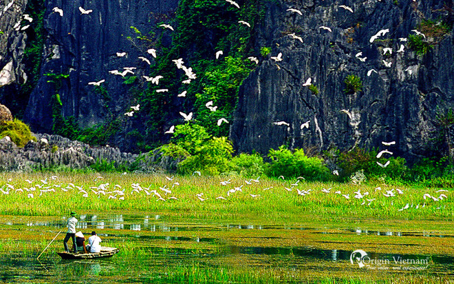 Exploring Van Long Wetland Nature Reserve in Ninh Binh ảnh 1