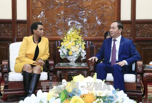 South African ambassador bids farewell to President ảnh 1