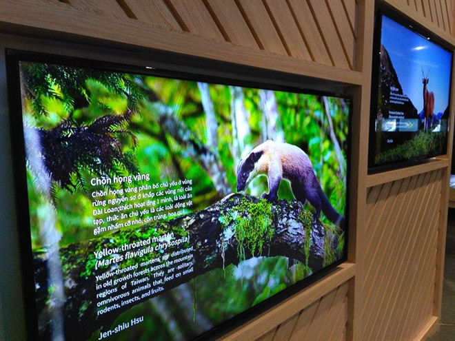  Exhibition shows biodiversity of Vietnam, Taiwan ảnh 1