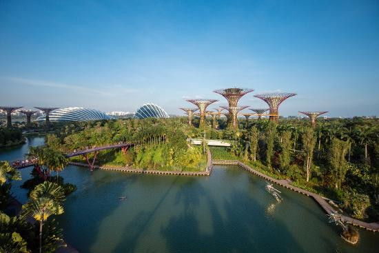 UNESCAP: Singapore’s economy to grow by 2.2 pct in 2017 ảnh 1 UNESCAP: Singapore’s economy to grow by 2.2 pct in 2017 ảnh 1