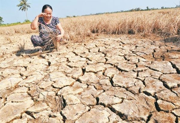 15 storms to hit Vietnam in 2017 ảnh 1