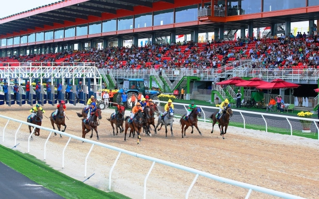 Dai Nam racecourse inaugurated in Binh Duong province ảnh 1