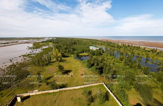 Con Vanh ecological tourism site attractive to visitors ảnh 1