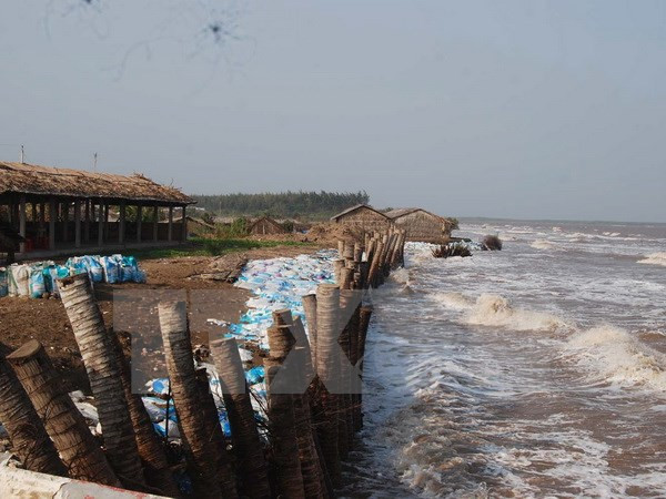 Water resources in Hong-Thai Binh River basin under discussion ảnh 1