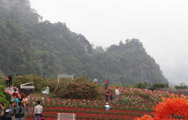 New tourism programmes promise to attract tourists to Yen Bai ảnh 1 New tourism programmes promise to attract tourists to Yen Bai ảnh 1