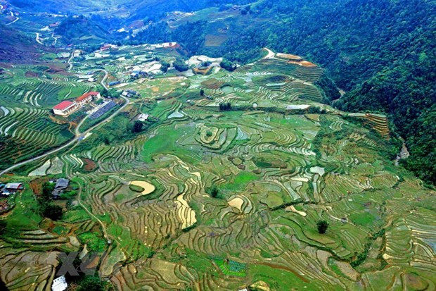 Lao Cai province takes action to recover tourism post-COVID-19 ảnh 2 Lao Cai province takes action to recover tourism post-COVID-19 ảnh 2