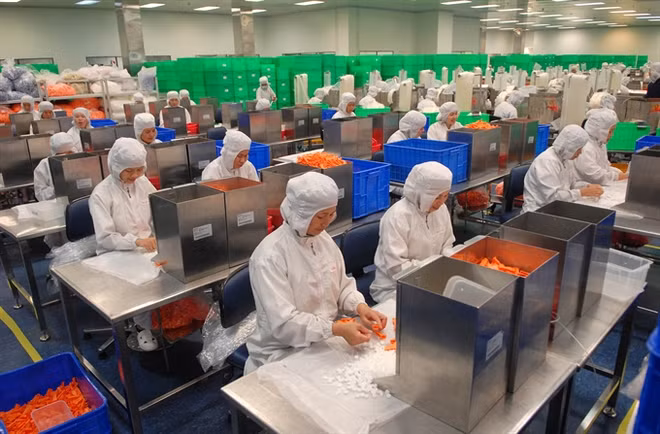 Government wants better business climate ảnh 1