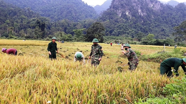 Border soldiers help improve lives for ethnic minority people ảnh 1