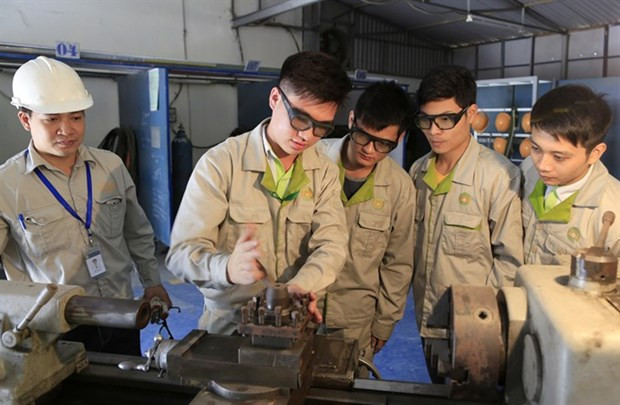 Labour market sees positive signs of growth ảnh 1