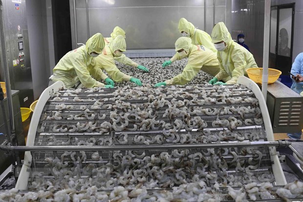 Vietnam posts 1.9bln USD trade surplus in first five months ảnh 1